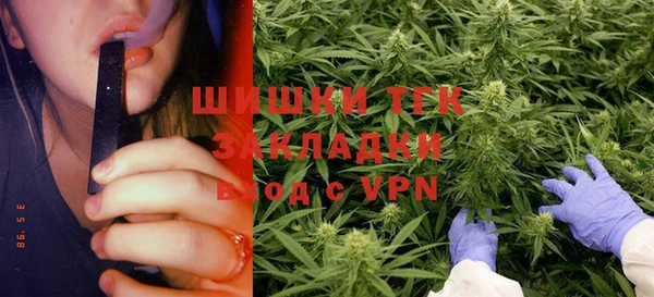 гидра Алексеевка